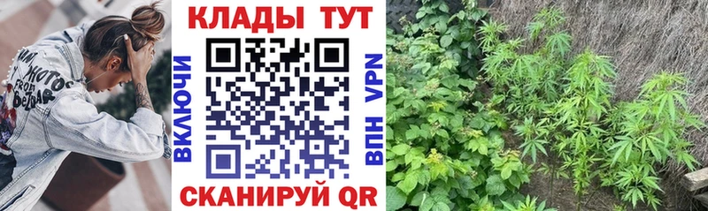 Хочу наркоту Электросталь ГАШИШ  Марихуана  А ПВП  OMG ССЫЛКА  КОКАИН  Меф 