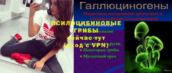 spice Абаза