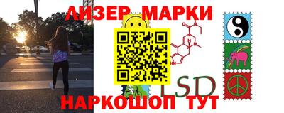 гидропоника Новозыбков