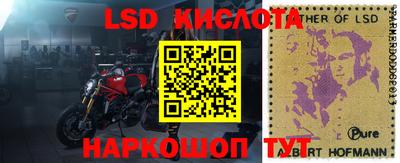 гидропоника Новозыбков