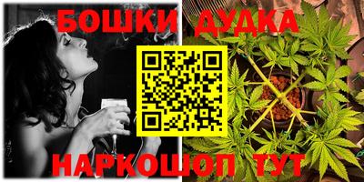 мдпв Новодвинск