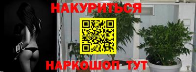 гидропоника Новозыбков