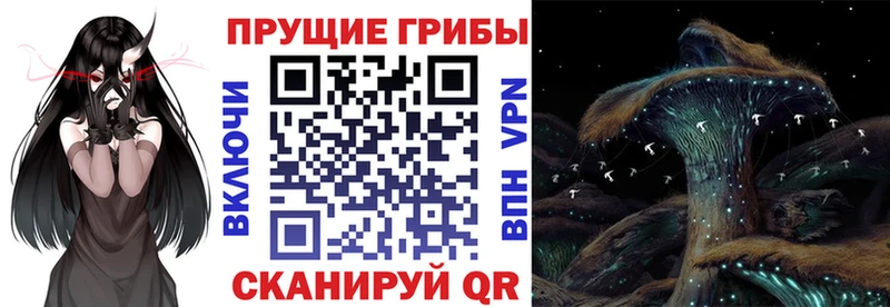 закладка  Электросталь  Галлюциногенные грибы ЛСД 