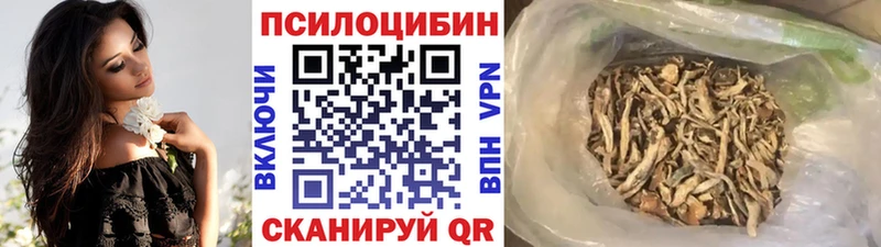 Галлюциногенные грибы мухоморы Электросталь