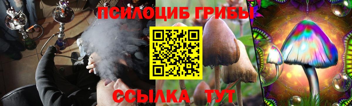 Псилоцибиновые грибы мицелий Электросталь